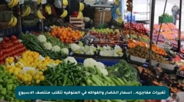 تغيرات مفاجئة.. أسعار الخضار والفواكه في المنوفية تتقلب منتصف الأسبوع